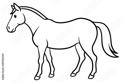 horse illustration