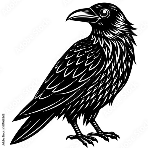 Crow silhouette vector illustration on a white background photo