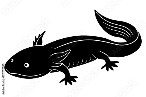  Axolotl silhouette vector illustration on white background