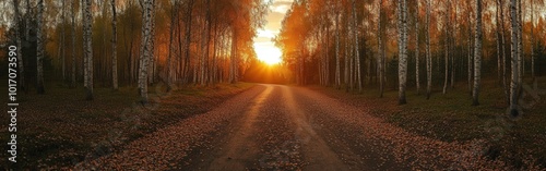 Golden sunset casting warm light on a winding forest road in autumn