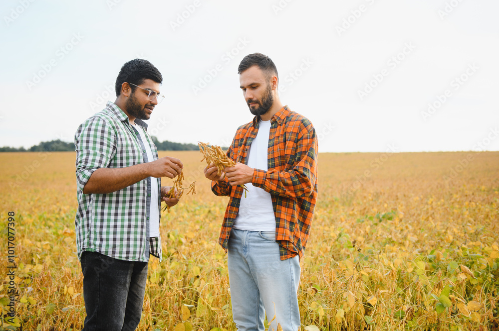 Fototapeta premium Portrait of two farmers in a soy field