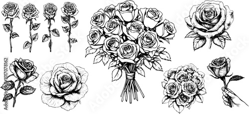 
Vector sketch of rose flower with leaves. Hand-drawn floral illustration engraved style set.