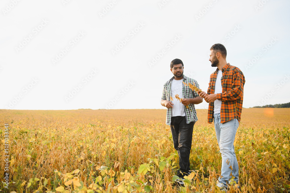 Portrait of two farmers in a soy field Portrait of two farmers in a soy field