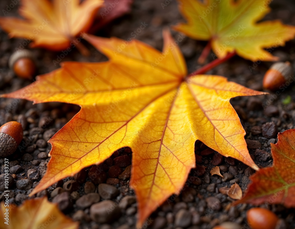 A yellow maple leaf on the ground, surrounded by other fallen leaves A yellow maple leaf on the ground, surrounded by other fallen leaves