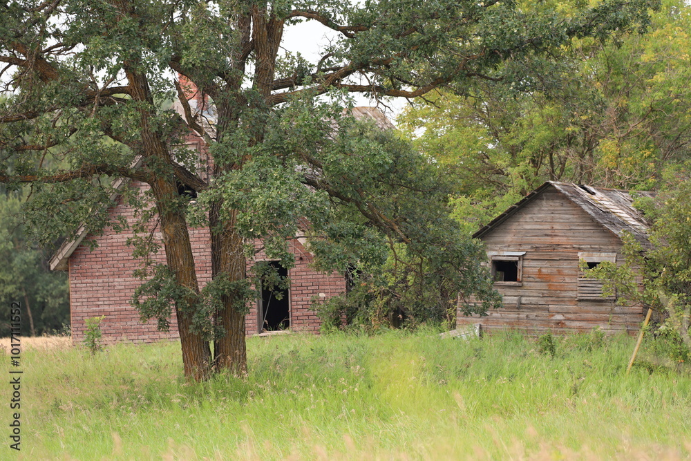 abandoned larger more modern farm house beside older smaller one abandoned larger more modern farm house beside older smaller one