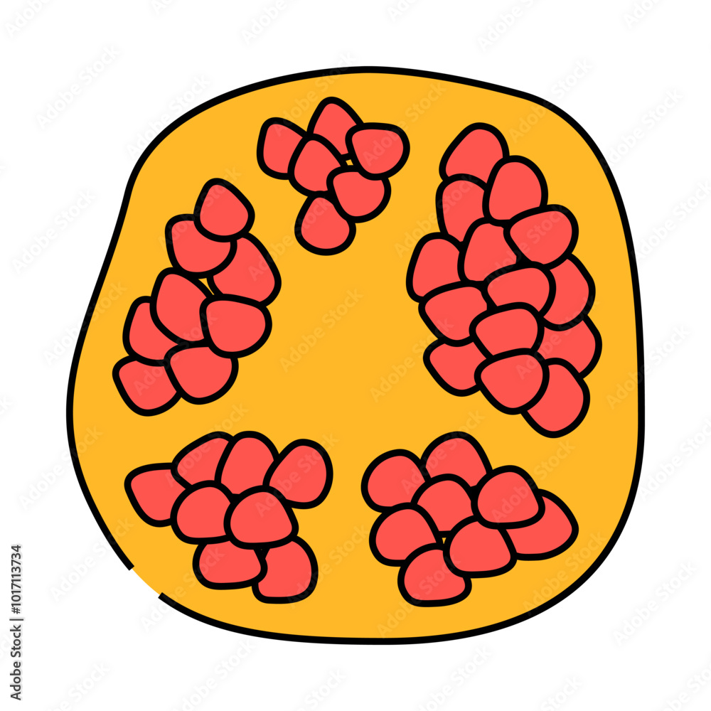 cut whole pomegranate line icon vector. cut whole pomegranate sign. isolated symbol illustration cut whole pomegranate line icon vector. cut whole pomegranate sign. isolated symbol illustration