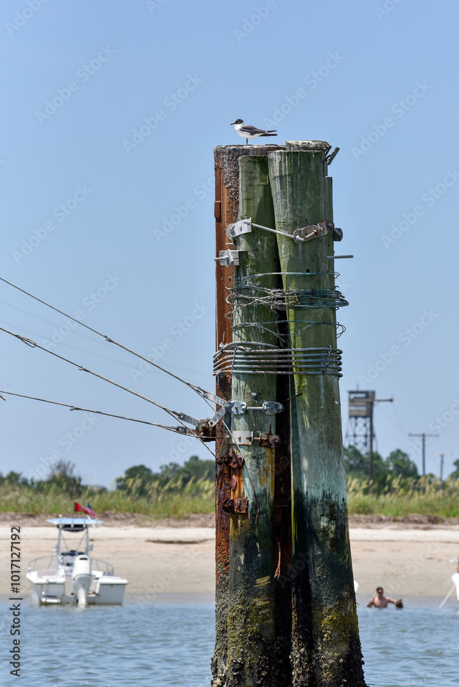 Fototapeta premium Utility Hardware in Coastal Environment