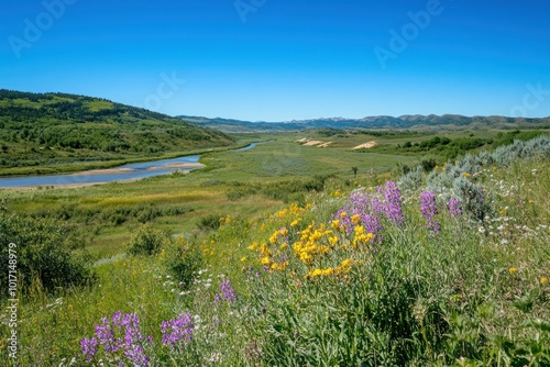 Wildflowers and a River Winding Through a Valley