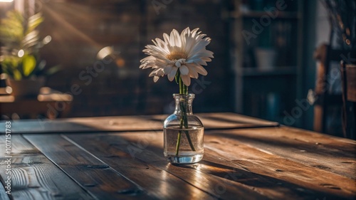 White flower in vase on sunlit table with copy space.