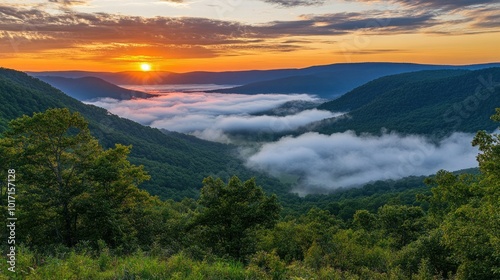 Sunrise Over Fog-Filled Mountain Valley