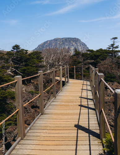 Hallasan National Park, Jeju island, South Korea, spring landscape view of Yeongsil trail, Halla volcano peak, trekking and climbing to Halla mountain, travel and hiking in Korea, Jeju-do, sunny day photo