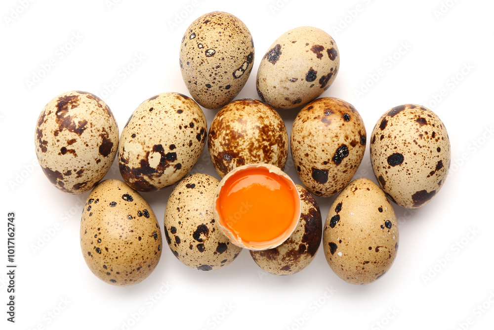 Many fresh quail eggs on white background Many fresh quail eggs on white background