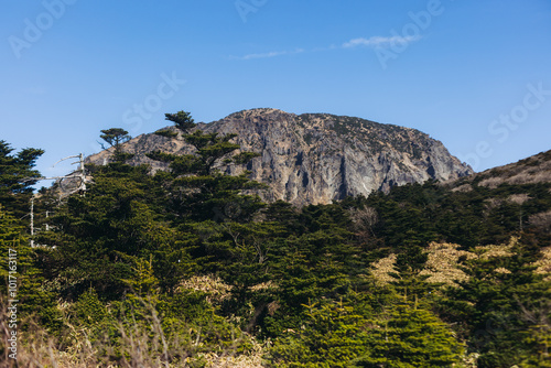 Hallasan National Park, Jeju island, South Korea, spring landscape view of Yeongsil trail, Halla volcano peak, trekking and climbing to Halla mountain, travel and hiking in Korea, Jeju-do, sunny day photo