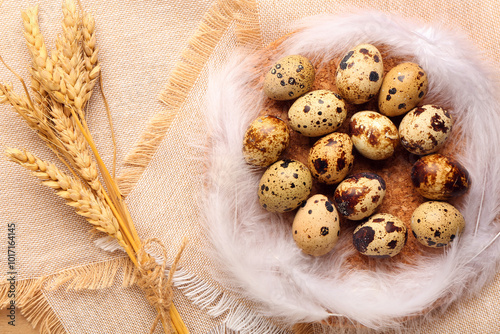 Board with fresh quail eggs, feathers and wheat on napkin