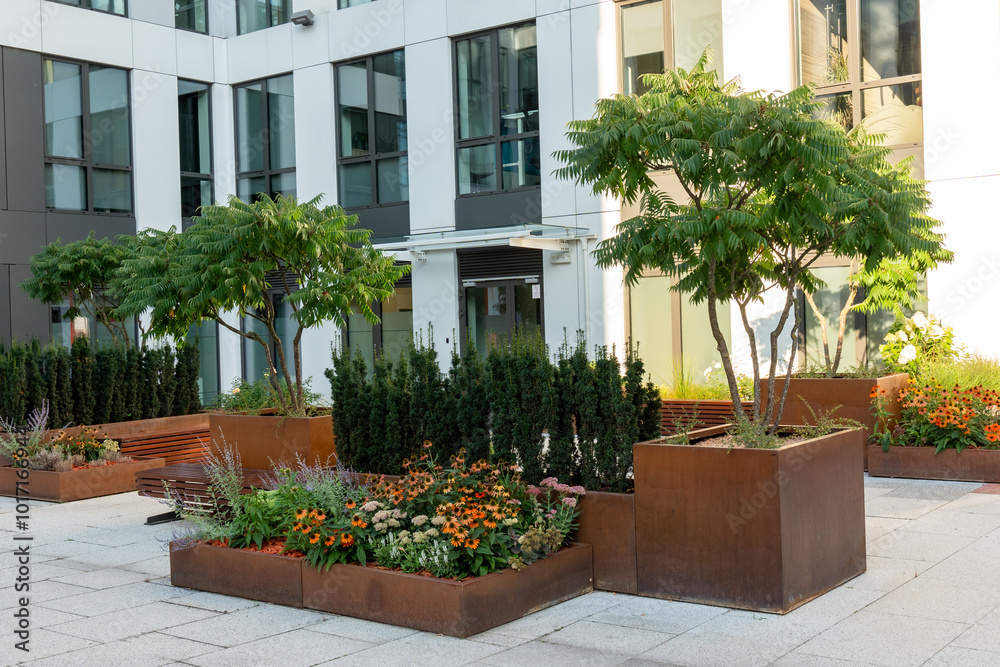 Fototapeta premium Large beds of lush greenery in an urban environment among office buildings at sunset hour in summer. Landscaping, beautiful flowerbeds in urban environment. High quality photo