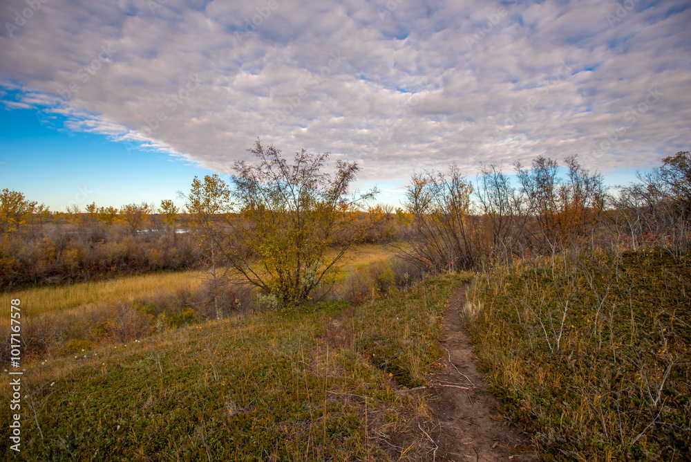 Autumn at Cranberry Flats Conservation Area Autumn at Cranberry Flats Conservation Area