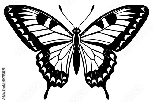 Eastern Tiger Swallowtail  silhouette vector illustration photo