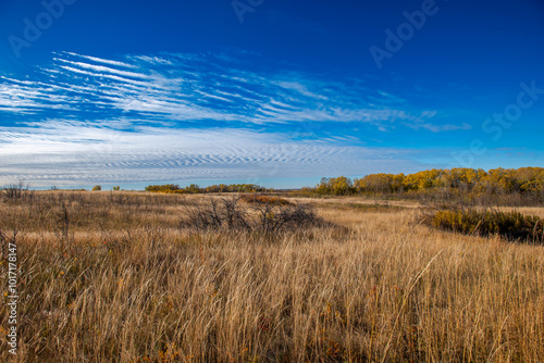 Autumn at Cranberry Flats Conservation Area photo