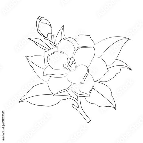 Vector black flowers bouquet, botanical lines art flower, Minimalist contour drawing of flower.Thin lines drawing of flower botany.