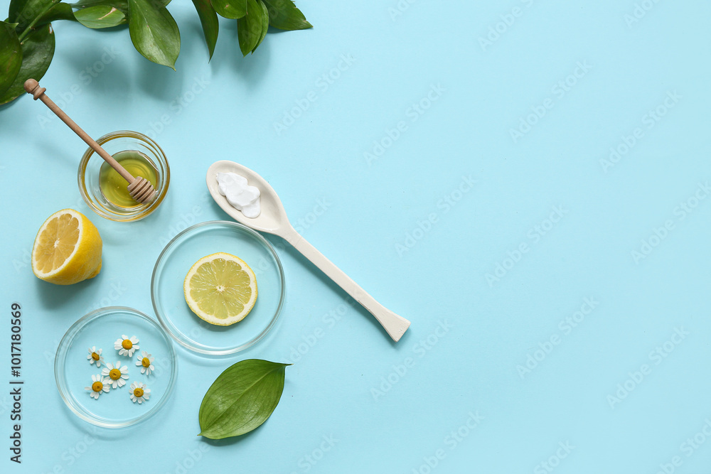 Petri dishes with plants and ingredients for preparing natural cosmetics on blue background Petri dishes with plants and ingredients for preparing natural cosmetics on blue background