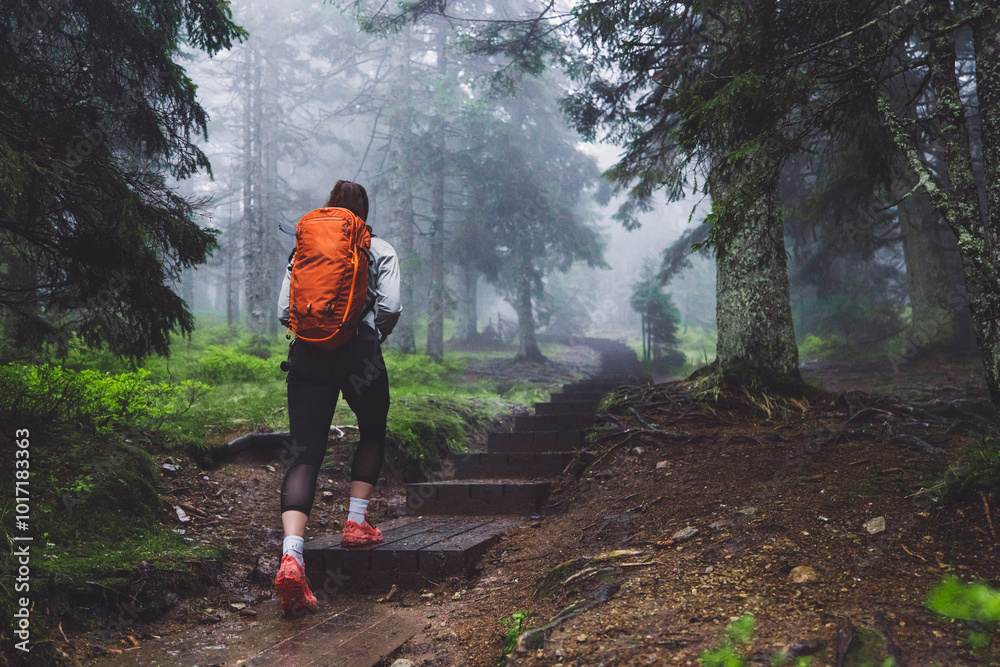 Obraz premium A woman in an orange jacket and red sneakers sits on a wooden bench in a foggy forest. She appears relaxed, surrounded by lush green grass and trees. The atmosphere is serene and tranquil, perfect for