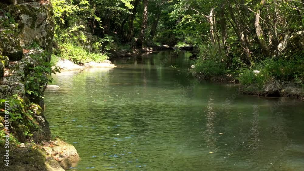 Water stream flowing over the rocks, mixing with the river under the shade of lush foliage trees in tropical forest Water stream flowing over the rocks, mixing with the river under the shade of lush foliage trees in tropical forest