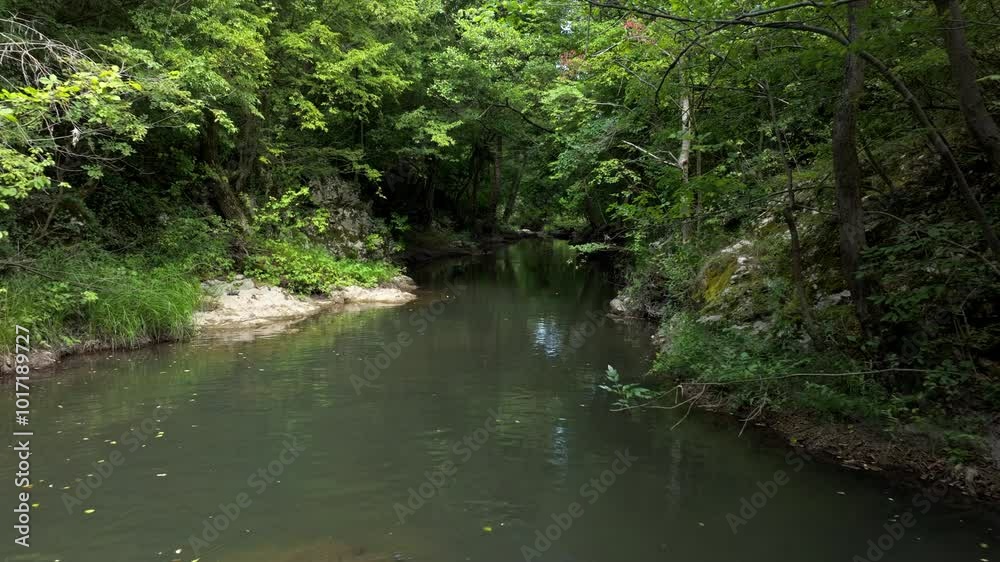 Backward aerial drone shot of beautiful river in the green forest Backward aerial drone shot of beautiful river in the green forest
