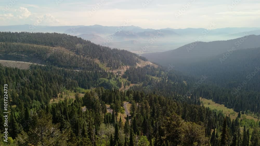 Drone shot of a dense forest in American mountains. Drone shot of a dense forest in American mountains.