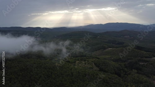 Aerial shot clouds and sunlight above forest in Chalkidiki, Greece

