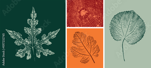 Collection of decorative leaf prints or leaf art. Monotone fall colors of green orange and red botanical leaf illustrations print.