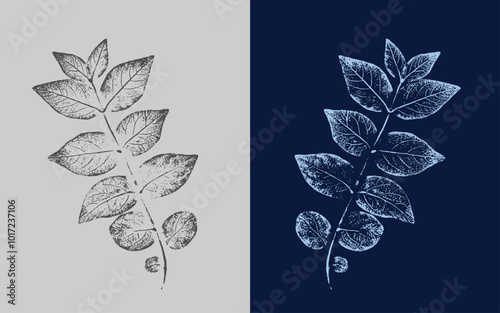 Set with hand made ink stamp leaves. Objects isolated on white. Black and white leaf blots. Monochrome artistic floral collection. Detailed texture of forest leaves