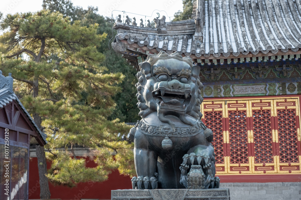 Guardian Lion in Imperial Palace, Standing Proudly in Serenity and Grace, Beijing, China, December 16, 2019 Guardian Lion in Imperial Palace, Standing Proudly in Serenity and Grace, Beijing, China, December 16, 2019