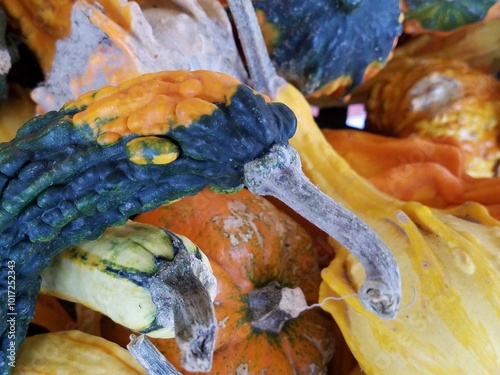 Autumn