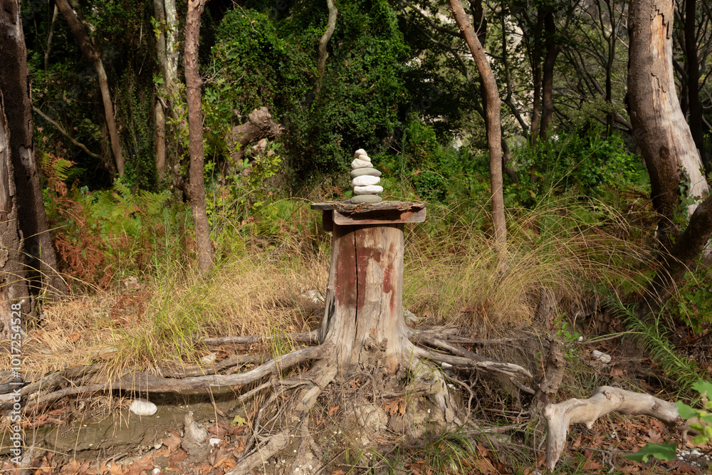 Stack of pebbles over tree stump in the woods Stack of pebbles over tree stump in the woods