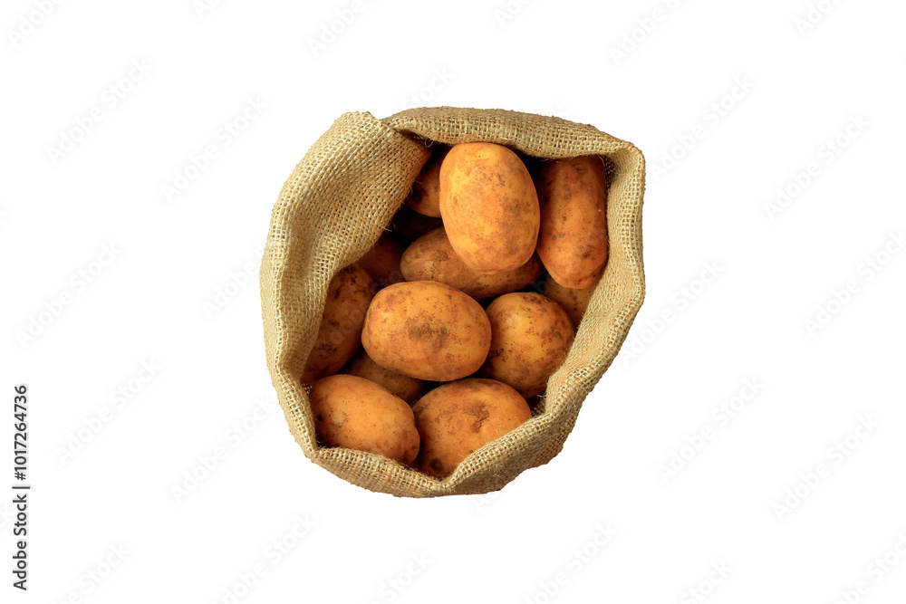 Fresh and raw potatoes bag harvested from plantation isolated white background Fresh and raw potatoes bag harvested from plantation isolated white background