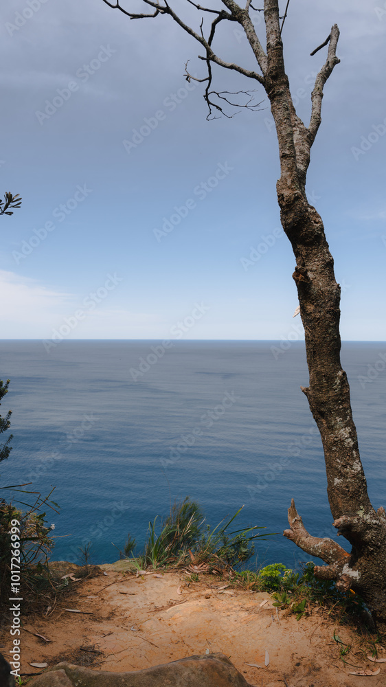 Lilyvale. Coastal View from Palm Jungle Loop Track, Royal National Park. Rugged Cliffs and Blue Ocean Waves Meeting the Rocky Shore. Burnings Palms Area, New South Wales, Australia Lilyvale. Coastal View from Palm Jungle Loop Track, Royal National Park. Rugged Cliffs and Blue Ocean Waves Meeting the Rocky Shore. Burnings Palms Area, New South Wales, Australia