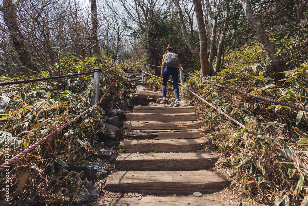 Hallasan National Park, Jeju island, South Korea, spring view of Yeongsil trail with wooden ladder path stairs, trekking and climbing, stairway to Halla mountain, hiking in Korea, Jeju-do, sunny day