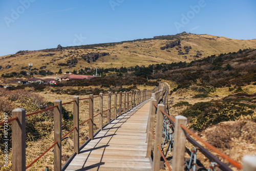 Hallasan National Park, Jeju island, South Korea, spring view of Yeongsil trail with wooden ladder path stairs, trekking and climbing, stairway to Halla mountain, hiking in Korea, Jeju-do, sunny day photo