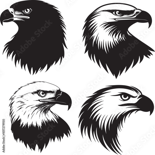 Bald Eagle head silhouette