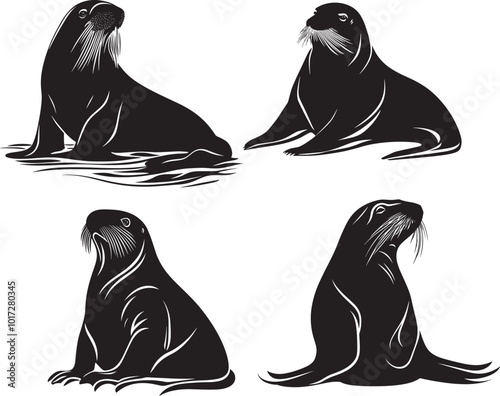 Walrus silhouette