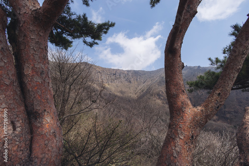 Hallasan National Park, Jeju island, South Korea, spring landscape view of Yeongsil trail, Halla volcano peak, trekking and climbing to Halla mountain, travel and hiking in Korea, Jeju-do, sunny day photo