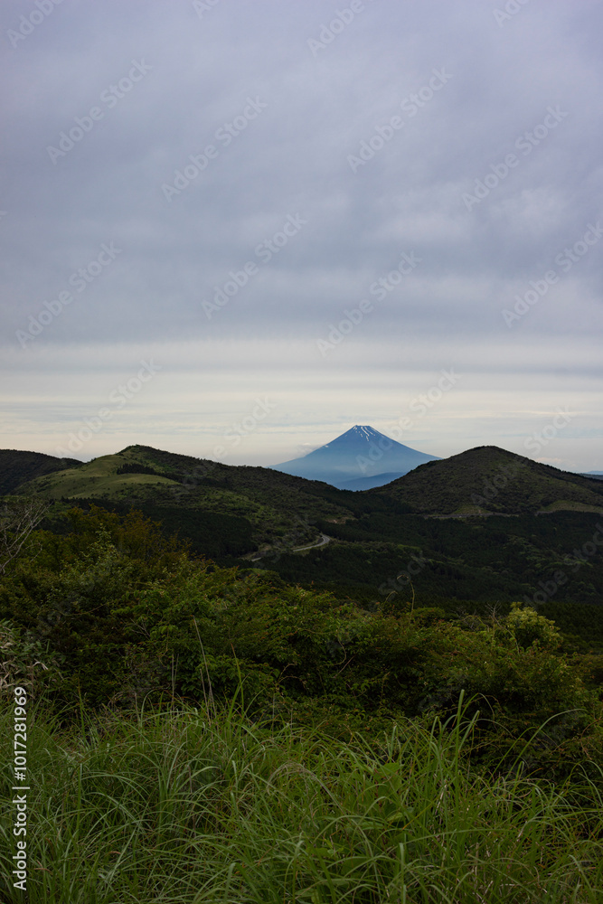 Fototapeta premium 静岡県伊豆市から見た初夏の富士山