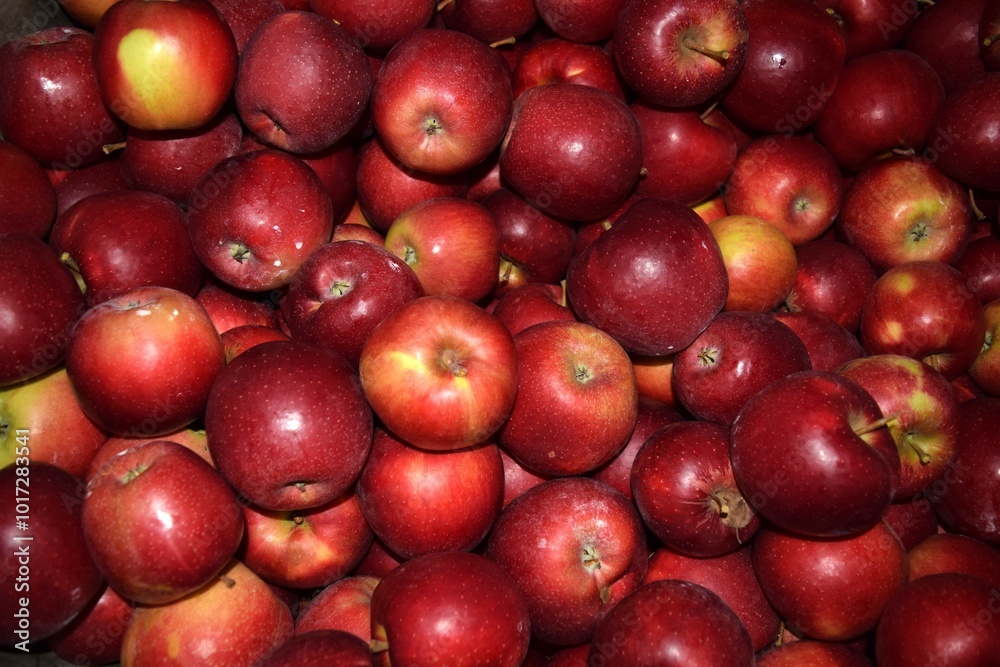 Apples pf New England Apples pf New England