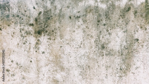 Moldy walls are suitable for background