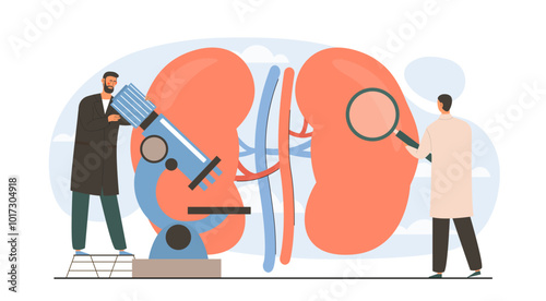 Doctors examine kidneys. Men in medical uniforms with magnifying glass and microscope examine internal organs. Scientific biological research in laboratory. Flat vector illustration