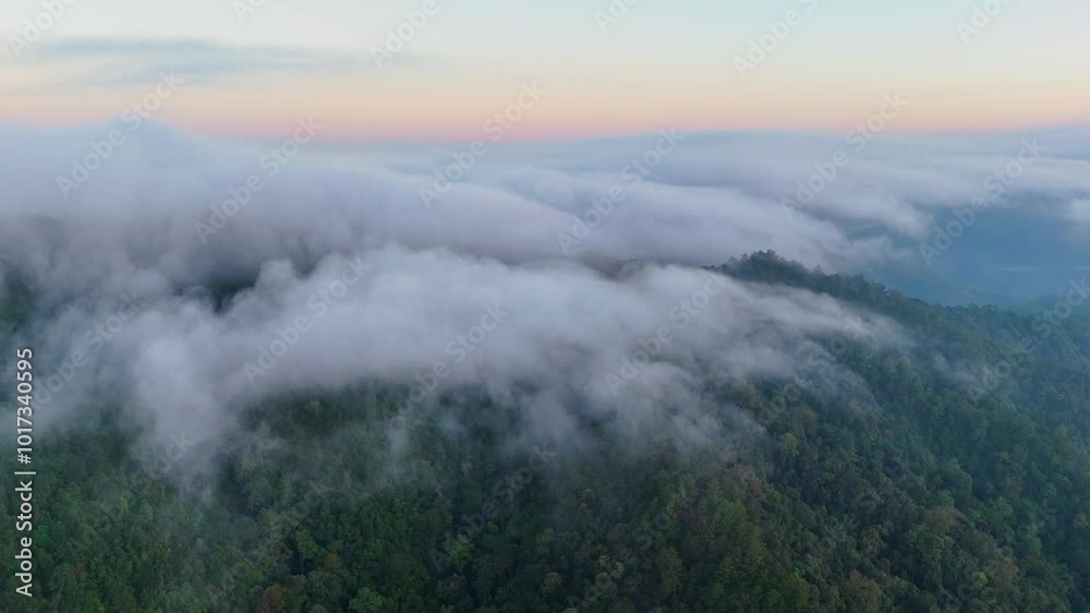 Tropical forest nature landscape view fog mountain at Thailand, Tropical forest nature landscape view fog mountain at Thailand,