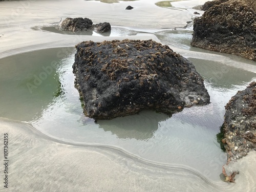 Wharariki Beach NZ