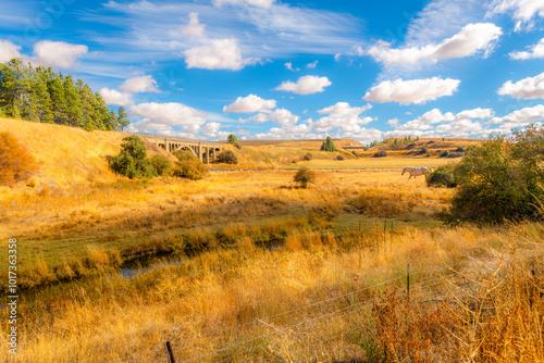 A horse walks near Pine Creek and the historic Railway Bridge, at the site of the Steptoe Battle of 1858, in the Palouse region of Rosalia, Washington. photo