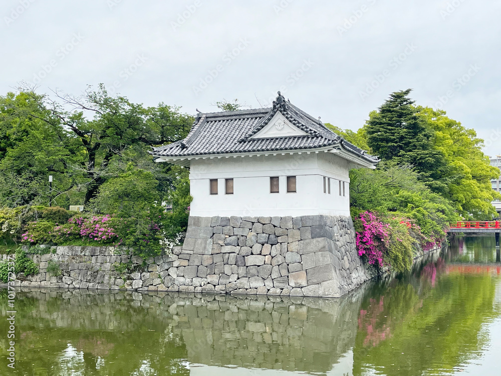 Obraz premium moat near Odawara Castle in Kanagawa Prefecture. moat with water
