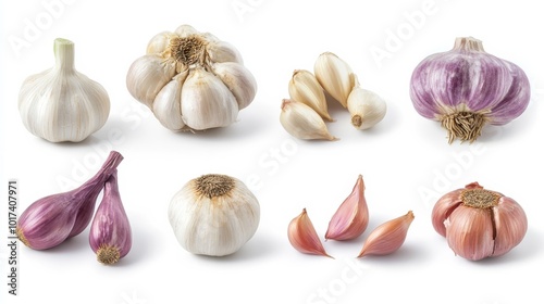 Garlic on blank background